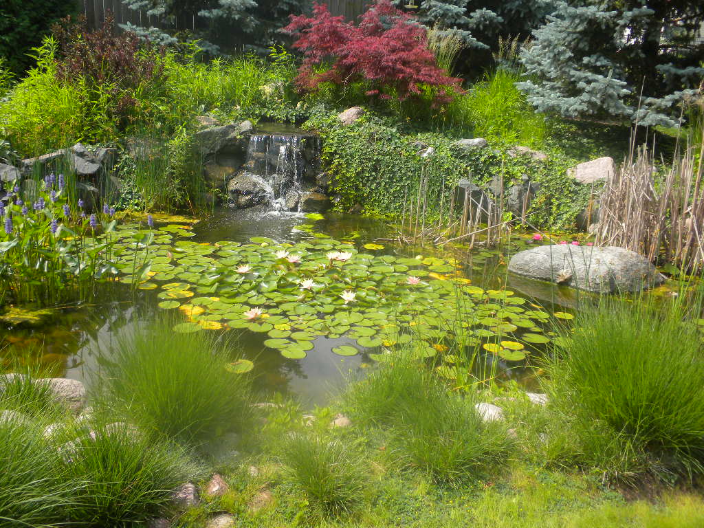 Gallery of Work McLeese Landscapes, Inc.